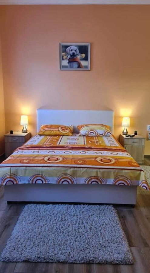 Ales Apartman Sombor Esterno foto